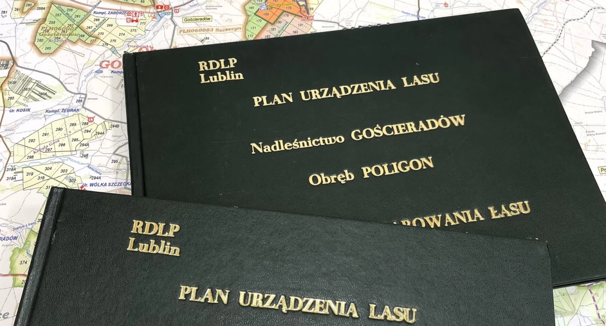 Można się wypowiedzieć w sprawie leśnych planów na najbliższe 10 lat