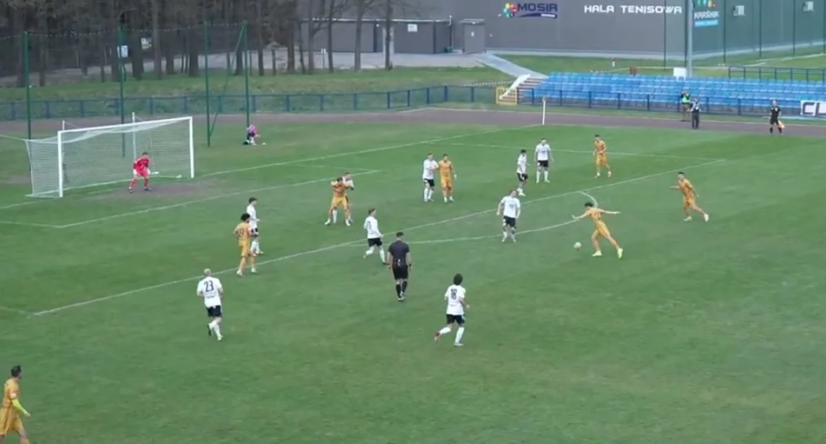 Przegrana po walce. Kontrowersje sędziowskie w meczu Stal vs. Wiślanie