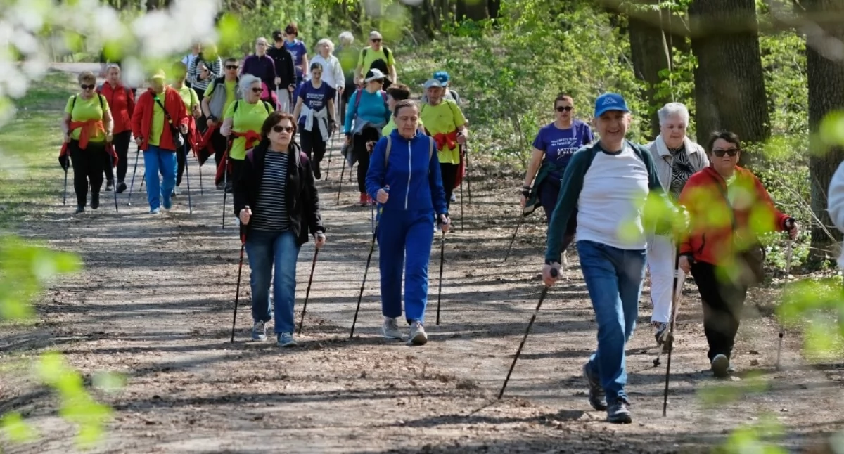 Aktywnie i na świeżym powietrzu – Kraśnik po raz piąty maszerował z kijkami
