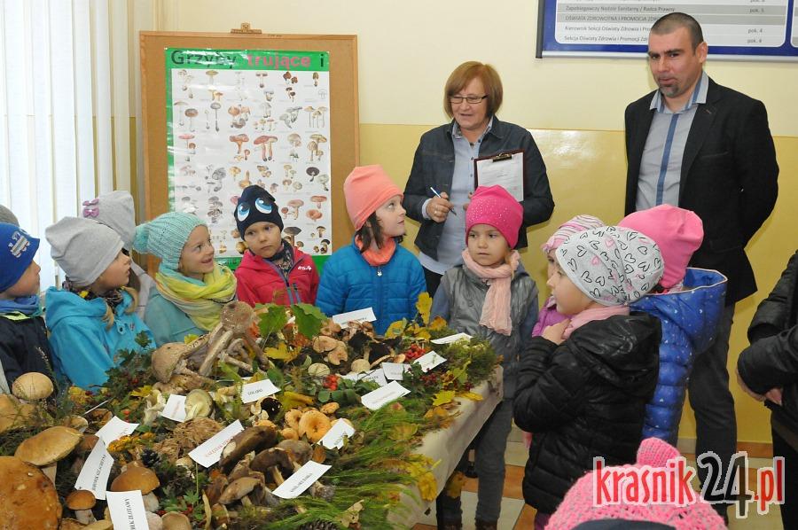 Kilkaset osób przewinęło się przez wystawę grzybów przygotowaną przez Sanepid. FOTO