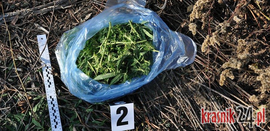 Trzej mieszkańcy gminy Annopol odpowiedzą za posiadanie i handel narkotykami