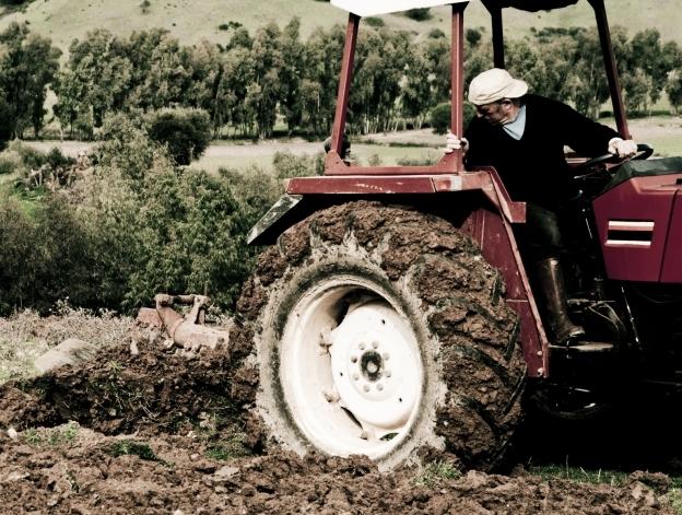 Powiat. ARiMR wypłaca zaliczki na poczet płatności bezpośrednich