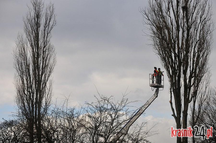 Topole przestały straszyć