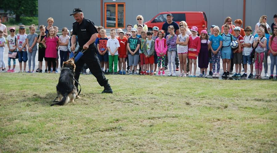Policjanci z policyjnym psem Rexem odwiedzili uczniów SP6 i przedszkolaków z PM6. Foto