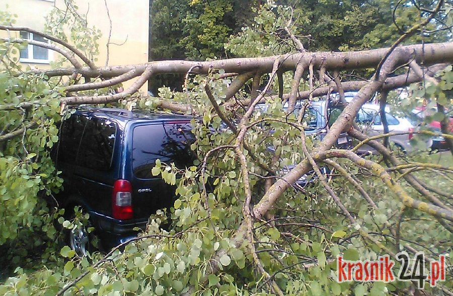 Prognozy niestety sprawdziły się. Burza zrywała dachy i łamała drzewa, grad niszczył uprawy. Foto
