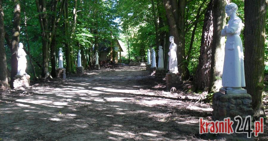 Gm. Urzędów. W tym roku ze źródełka w Św. Otylii wodę można czerpać bez obaw