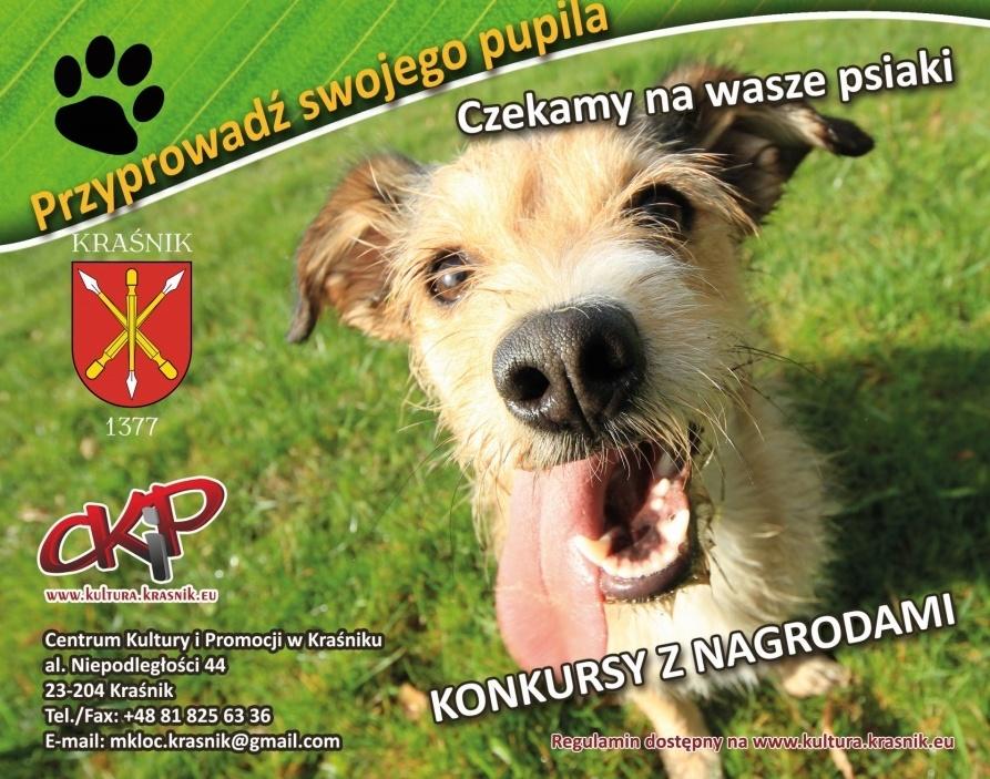 Nierasowce na start. Wystawa psów już w sobotę na Dniach Kraśnika