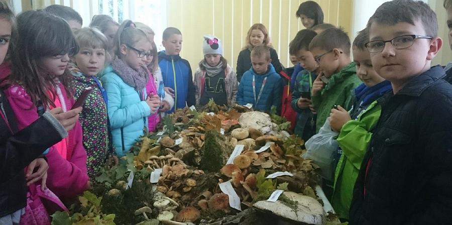 Prawie 1000 osób przewinęło się przez wystawę grzybów przygotowaną przez Sanepid. Foto