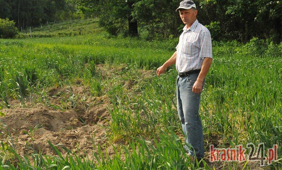 Gm. Dzierzkowice. Rolnicy kontra myśliwi w sprawie szkód łowieckich