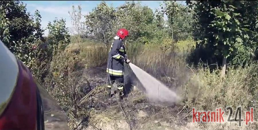 Strażacy z Miejskiej OSP Kraśnik nakręcili filmik i wygrali torbę ze sprzętem medycznym. Wideo