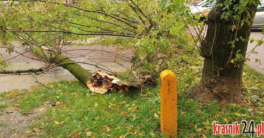 Zniszczone dachy, połamane drzewa, brak prądu. Niż 