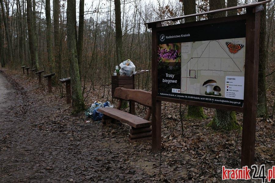 Edukacja i rekreacja w miejskim lesie