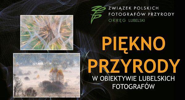 Piękno przyrody w obiektywie lubelskich fotografów