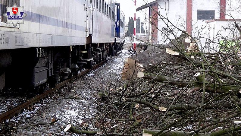 Pociąg uderzył w drzewo leżące na torach