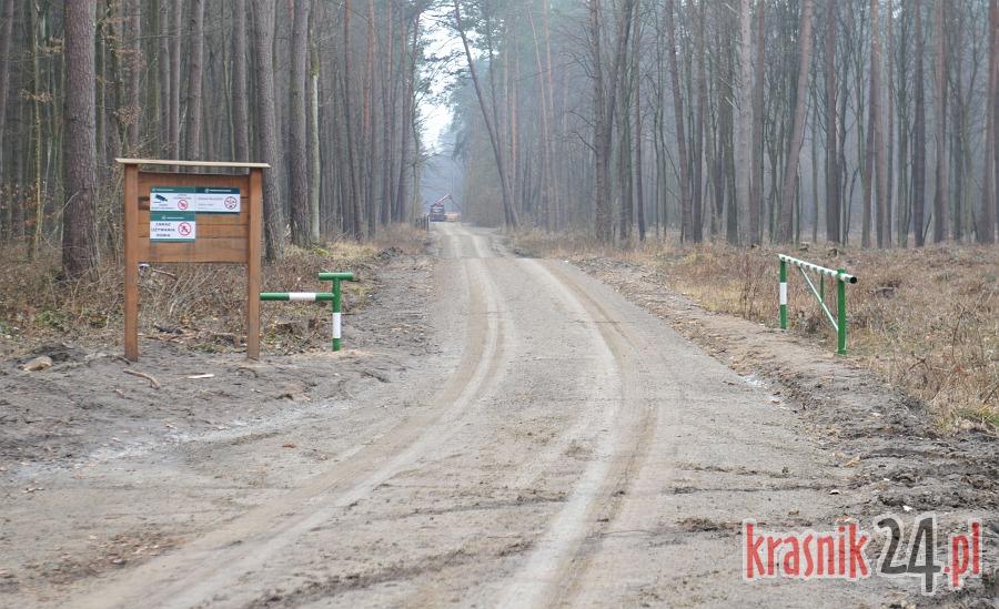 Nową drogą przez las