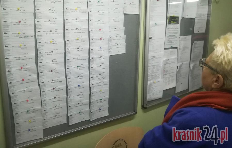 Bezrobocie w powiecie kraśnickim wciąż na dwucyfrowym poziomie