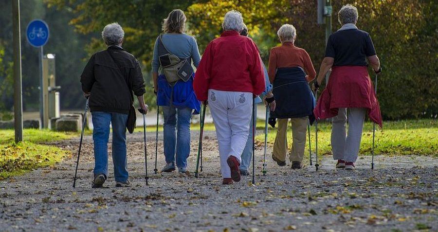 Zapraszamy na bezpłatne zajęcia nordic walking