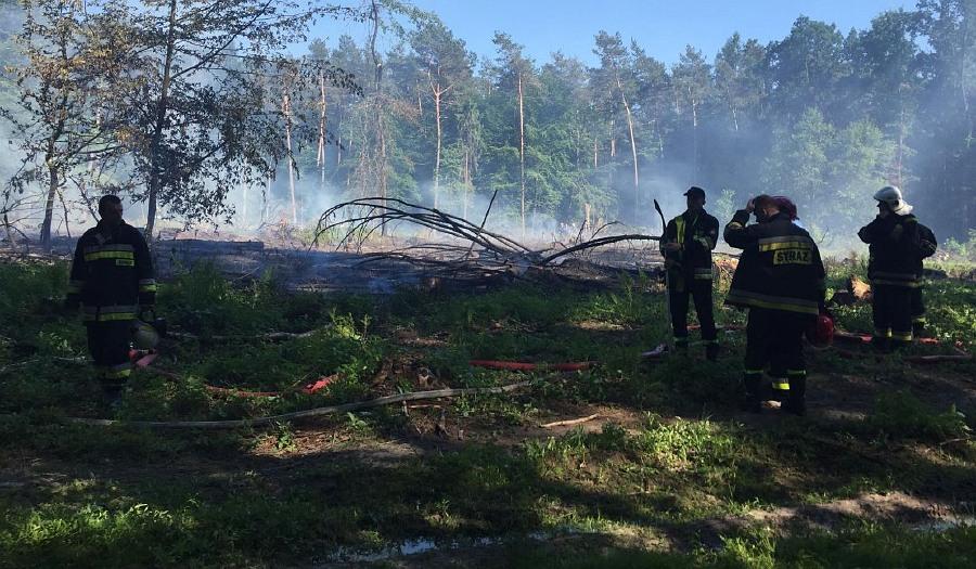 Paliło się w Ludmiłówce. Uważajmy bo w lasach jest bardzo sucho