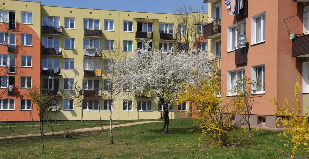 Piknik Osiedlowy z okazji 60-lecia SM Pomoc