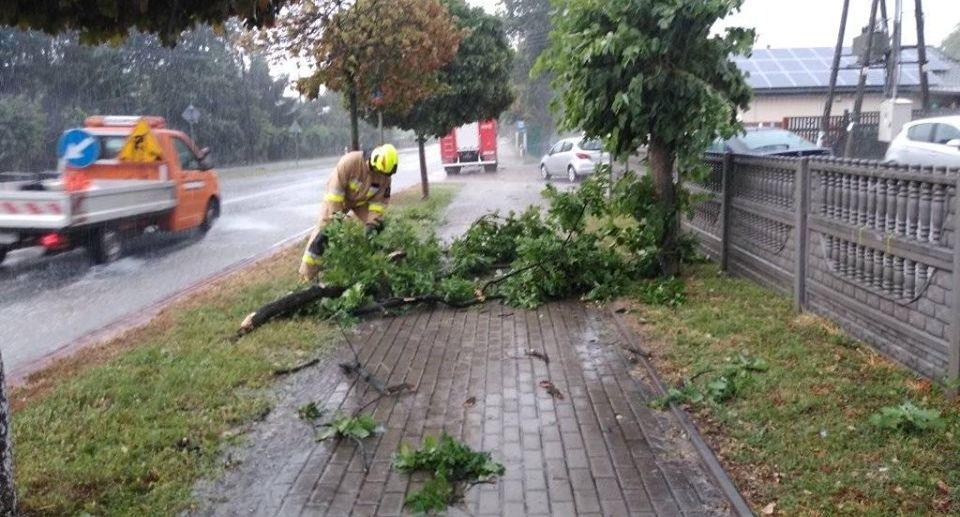 Przez Powiat Kraśnicki przeszła nawałnica. Sporo szkód. Wideo