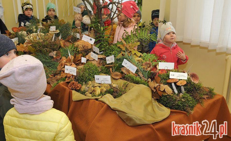 Jadalne, niejadalne i te trujące. Kolejna jesienna wystawa grzybów w kraśnickim Sanepidzie za nami
