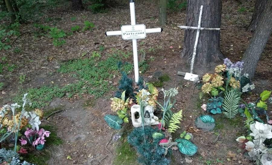 Po wielu latach dowiemy się czy i kto leży w lesie?