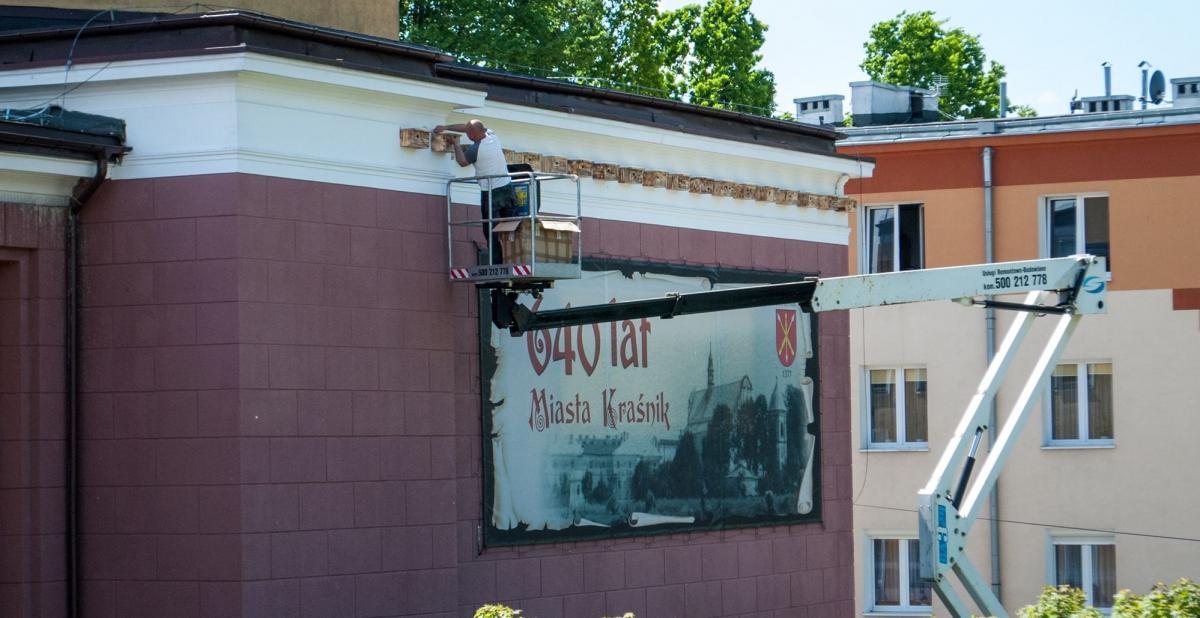 Jerzyki pomogą tępić w Kraśniku uciążliwe owady