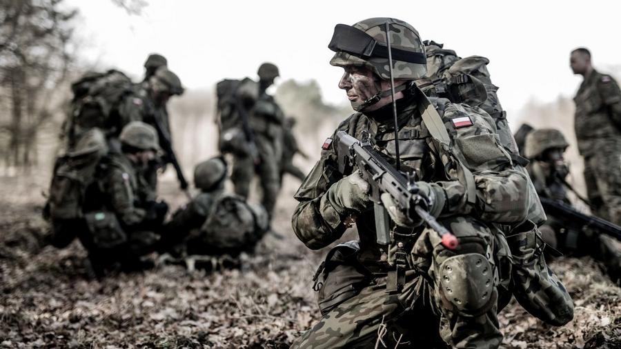 Batalion lekkiej piechoty stanie w Kraśniku