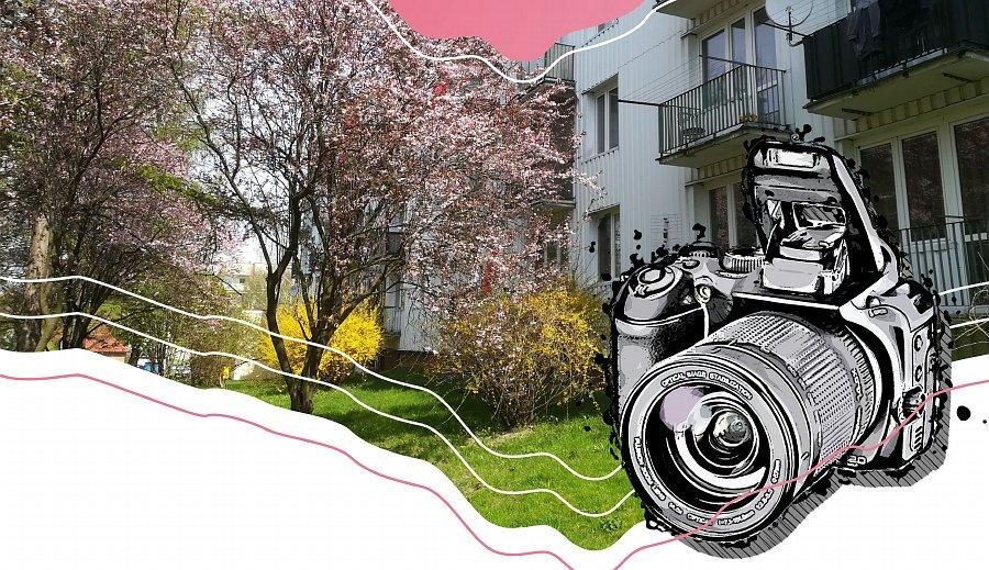 Sfotografuj „Wiosnę na Osiedlu” i weź udział w konkursie