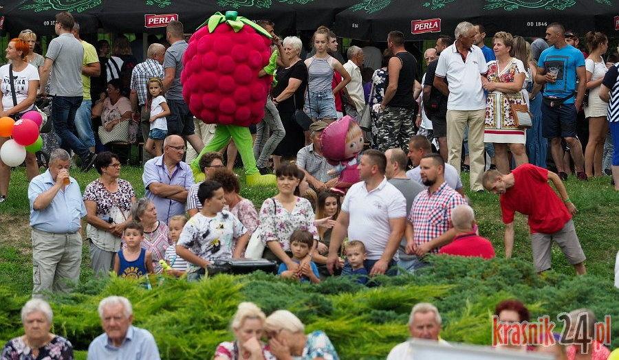 Festiwal Maliniaki. Dobra cena, dobra zabawa