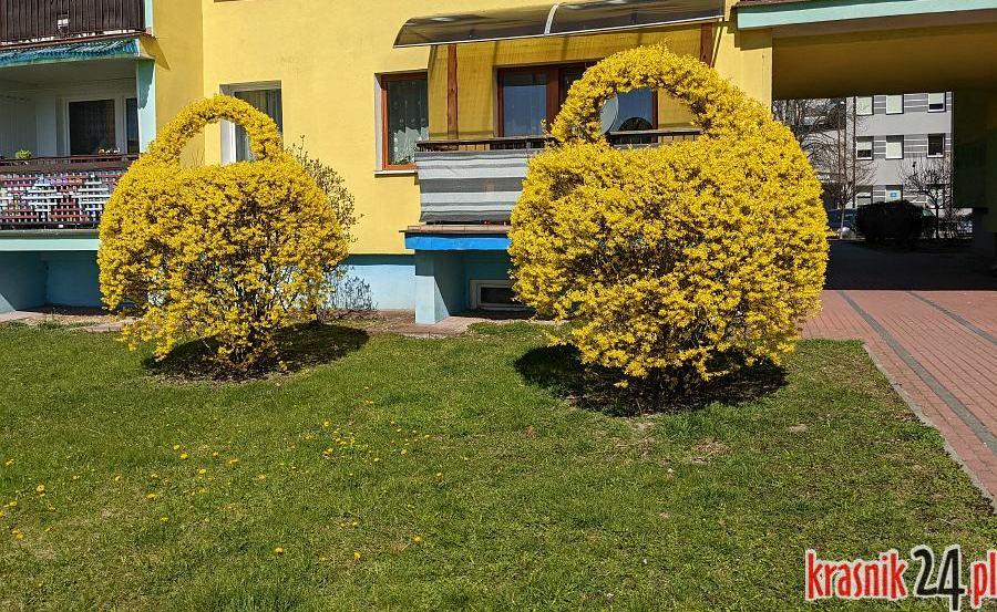 Osiedle ozdobione na święta