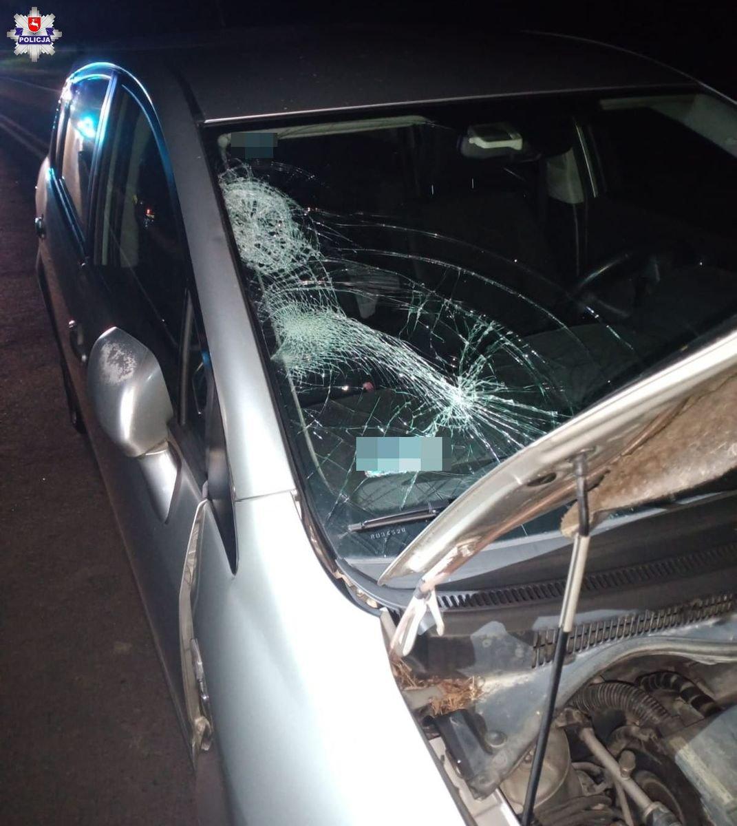 Tragedia na drodze