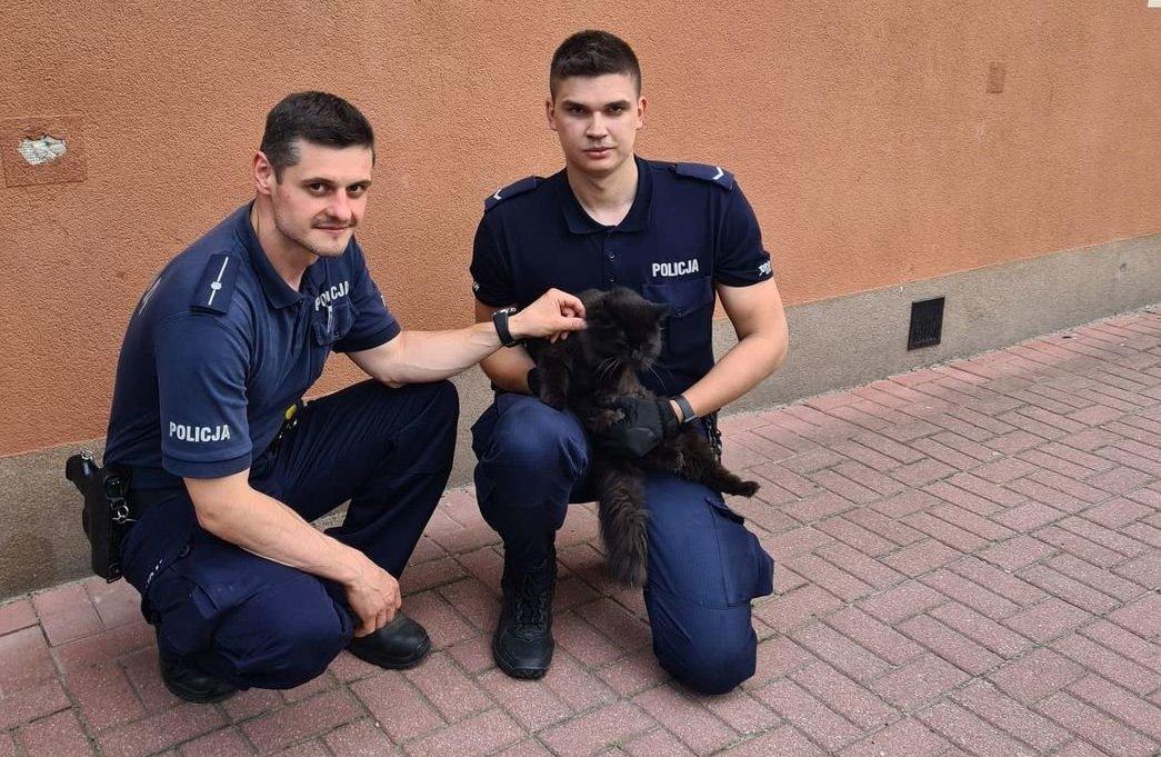 Dzięki szybkiej interwencji, kraśniccy policjanci uratowali mieszkanie i... kota