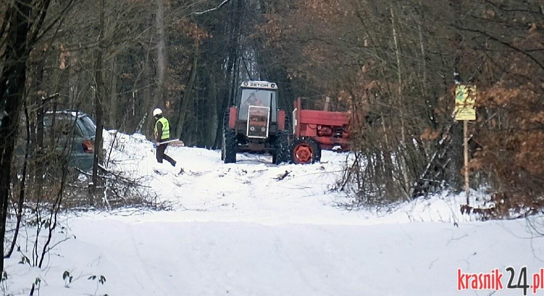 Wycinka podmiejskiego lasu wywołała kolejną burzę
