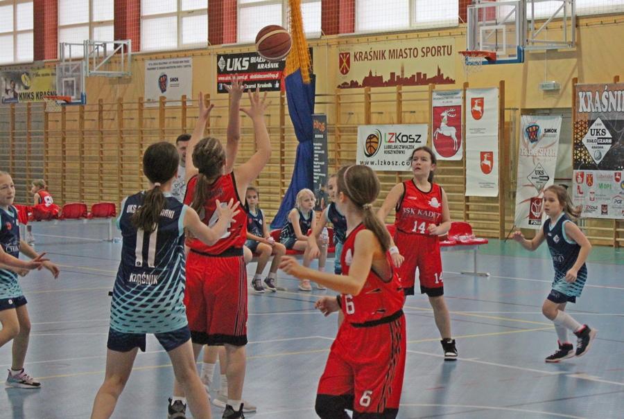 Liga młodych pszczółek