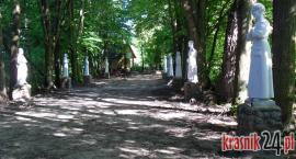 Gm. Urzędów. W tym roku ze źródełka w Św. Otylii wod&hellip;