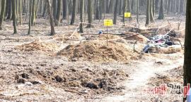 Dwie mogiły zbiorowe na trasie budowy drogi