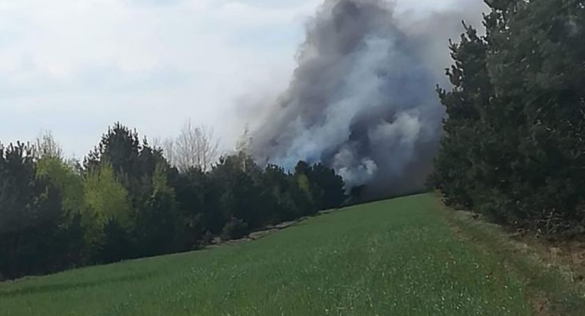 Pożar lasu w Kuranowie