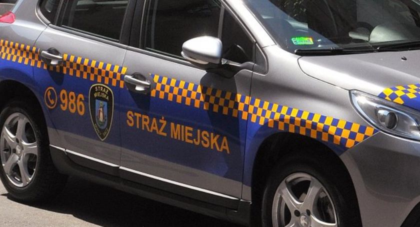 Kronika Straży Miejskiej 15.07.-21.07.2019