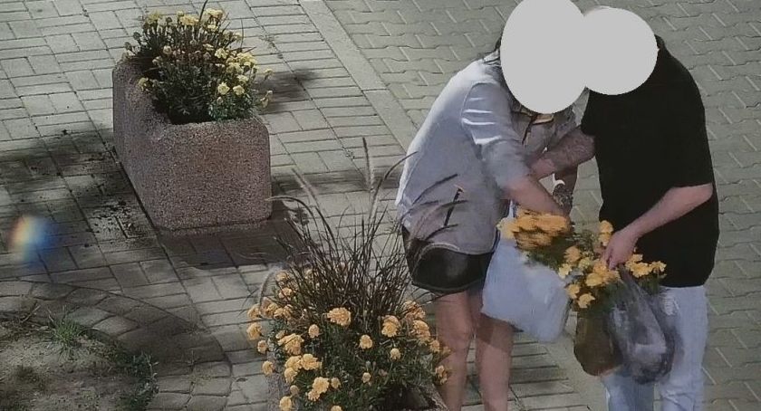 Kradli kwiaty z miejskich doniczek 