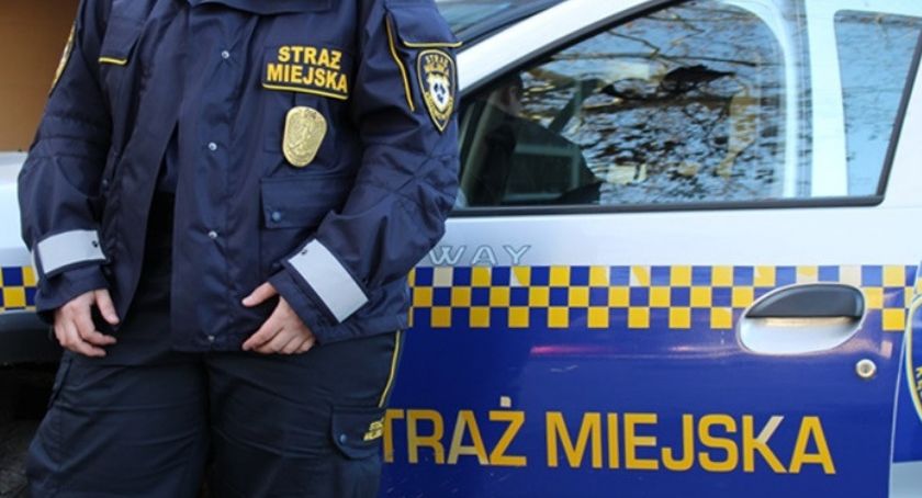 Kronika Straży Miejskiej 05 - 11.08.2019 r