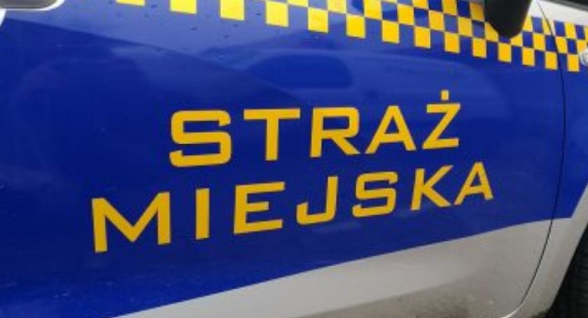 Kronika Straży Miejskiej 19 - 25.08.2019 r