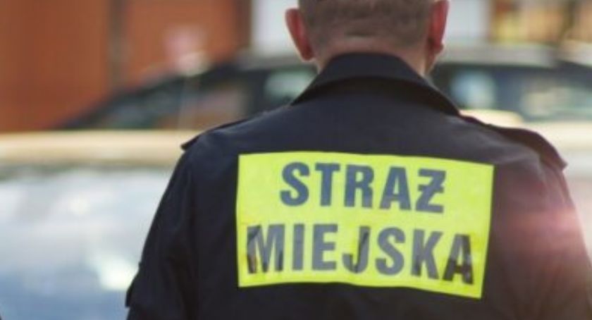Kronika Straży Miejskiej 02.09 - 08.09.2019