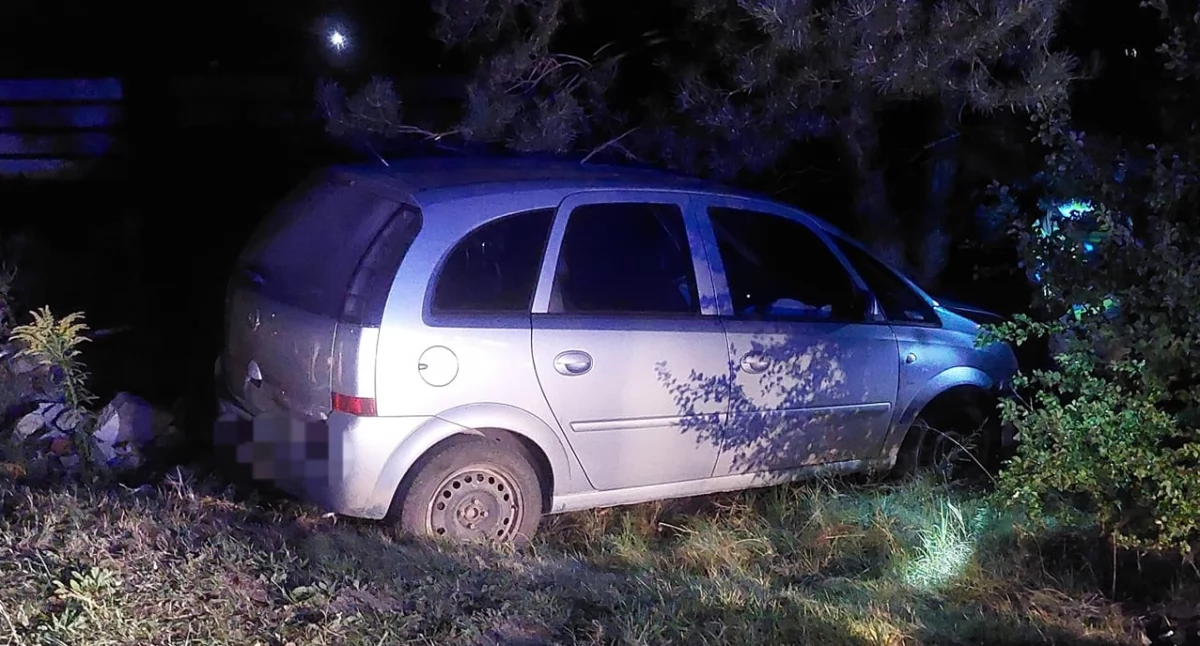 Wypadek w Sitnej: Samochód uderzył w drzewo