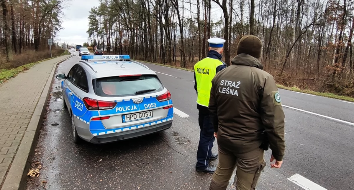 Mundurowi walczą z kradzieżami choinek