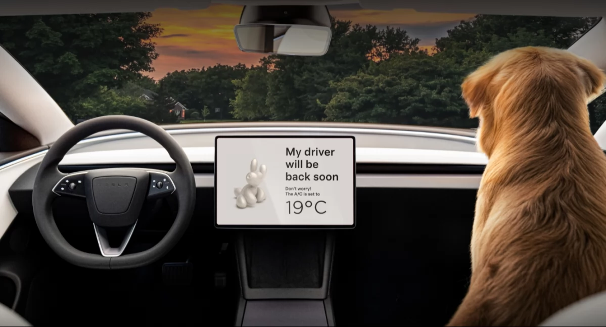 To się naprawdę wydarzyło: Tesla ucierpiała przez spadającą z nieba rybę! [film]