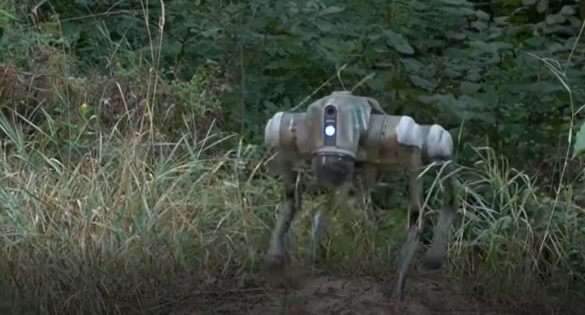 Ukraińcy wypuszczają na front psy roboty