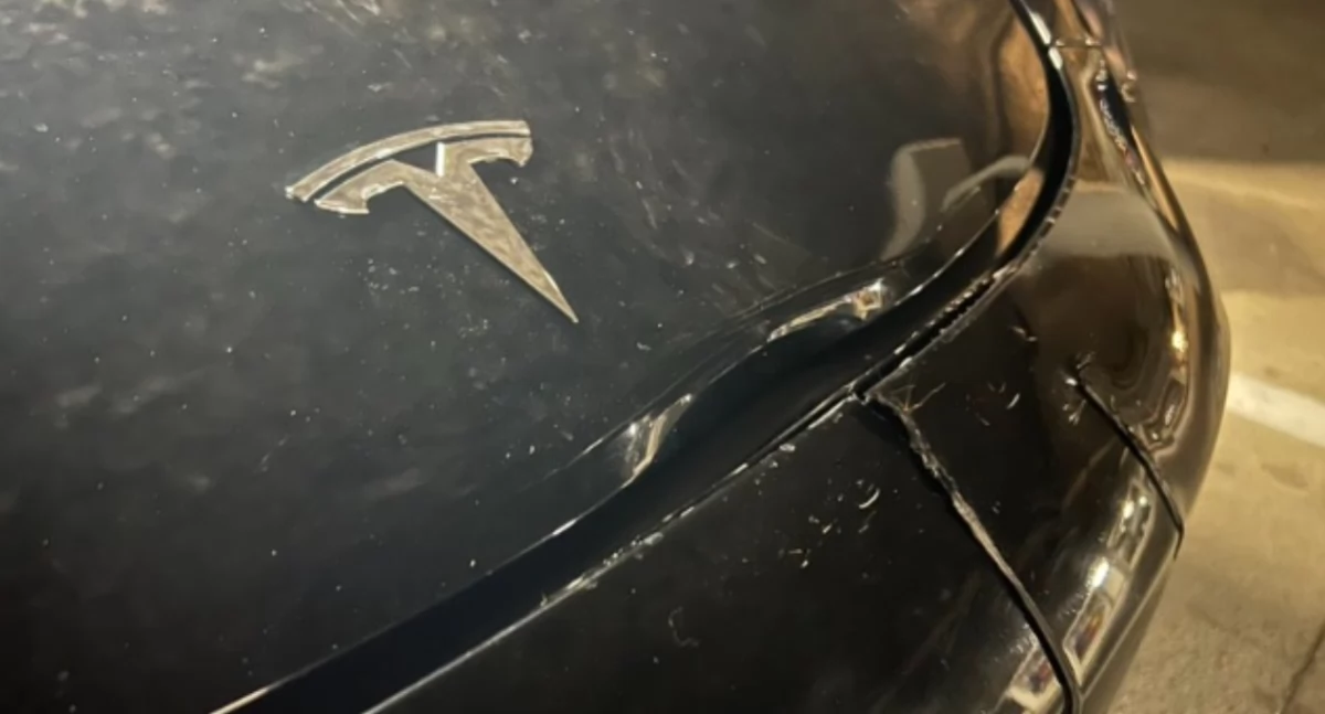 Autonomiczna Tesla wjeżdża na pełnej w jelenia, zobacz film!