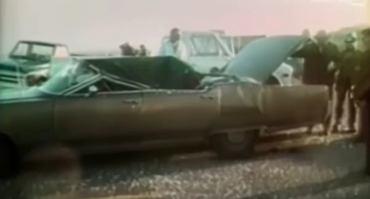 To jest dziwne: Historia wieloryba, który eksplodował, zobacz film