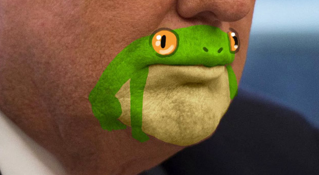 Tego się nie da odzobaczyć. Żabobrody Trump.